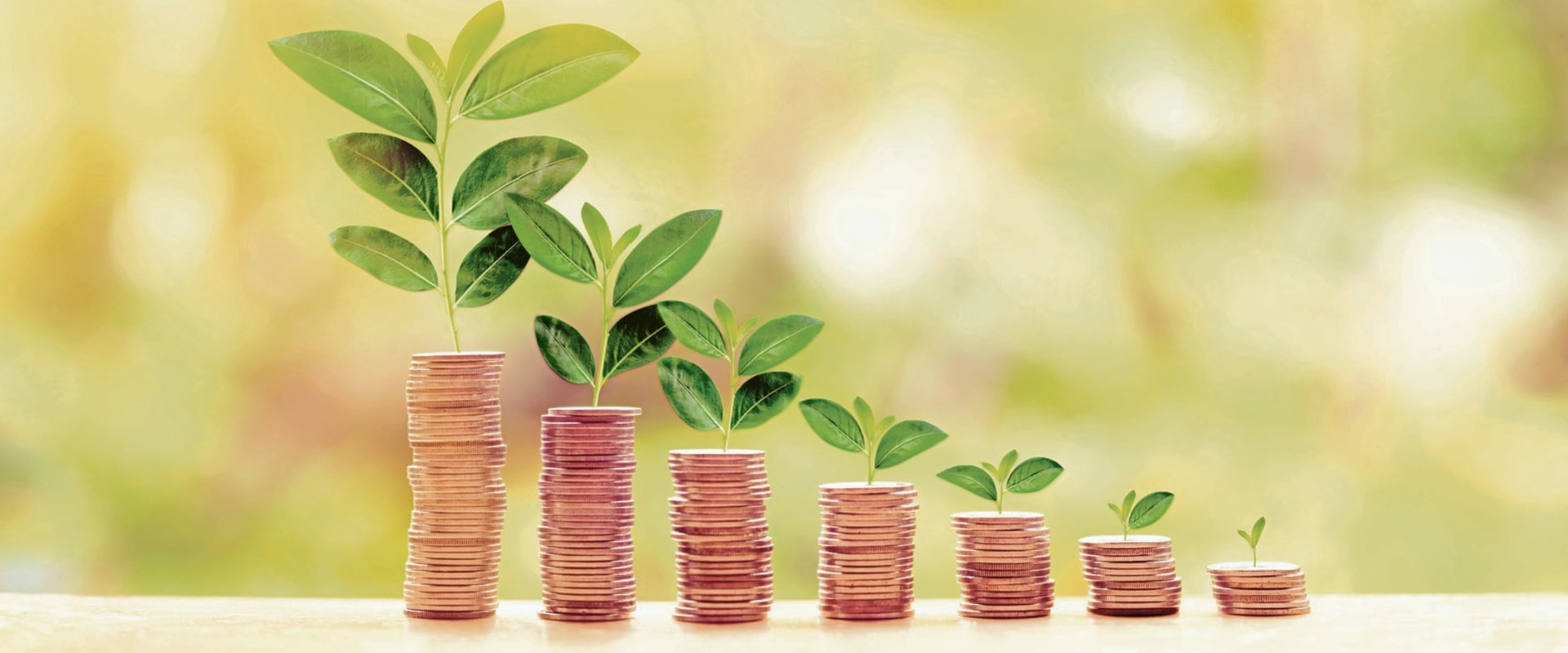 Exploring Alternative Sources of Funding through Venture Capital Investments