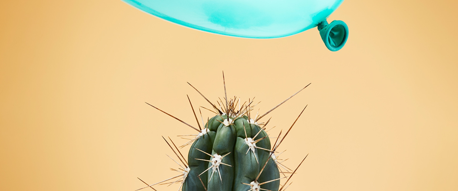 Minimizing Business Risk: A Comprehensive Overview